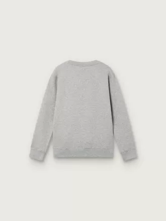 Sudadera de cuello redondo Journey para niño en algodón gris jaspeado con estampado de mascota