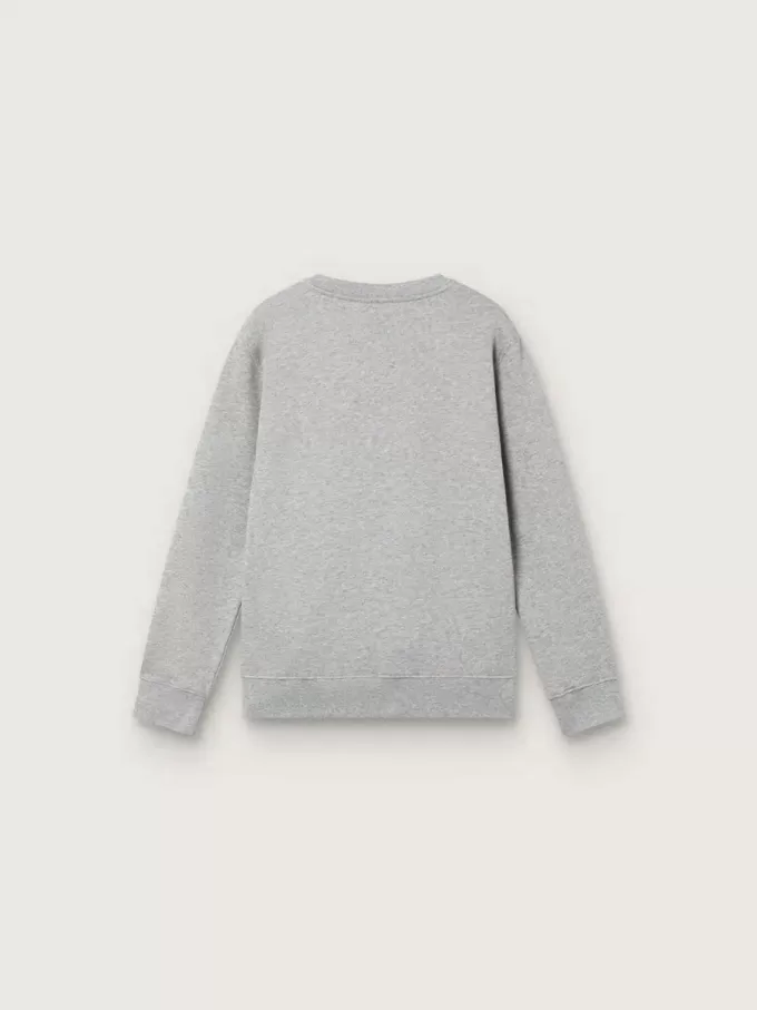 Sudadera de cuello redondo Journey para niño en algodón gris jaspeado con estampado de mascota